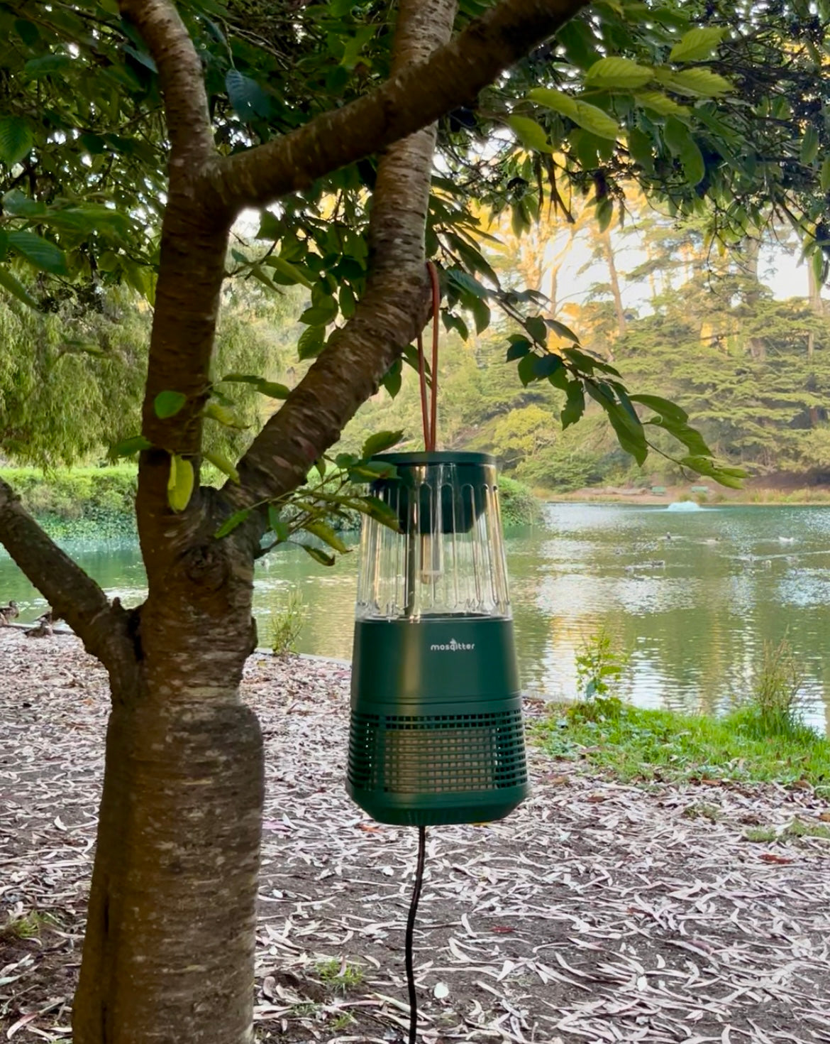 Mosqitter® Mini