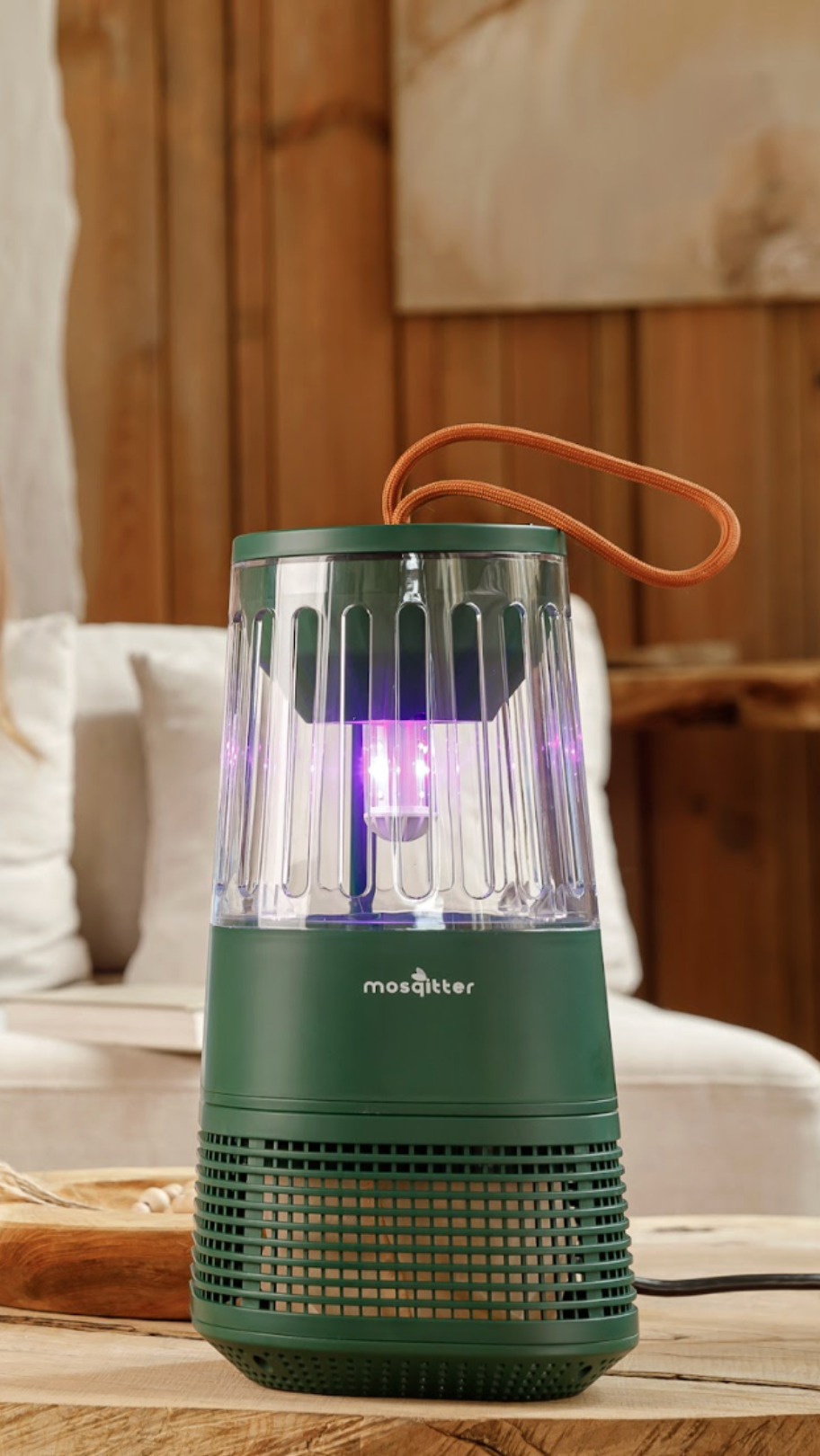 Woman holding a dog and a green camping lantern on a table in a living room.